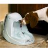 Drinkwell Platinum Pet Fountain