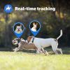 PetSafe Guardian GPS + Tracking Dog Fence Collar  Wireless Dog Fence with Real-Time Tracking